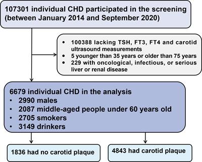 Impaired sensitivity to thyroid hormones and carotid plaque in patients with coronary heart disease: A RCSCD-TCM study in China